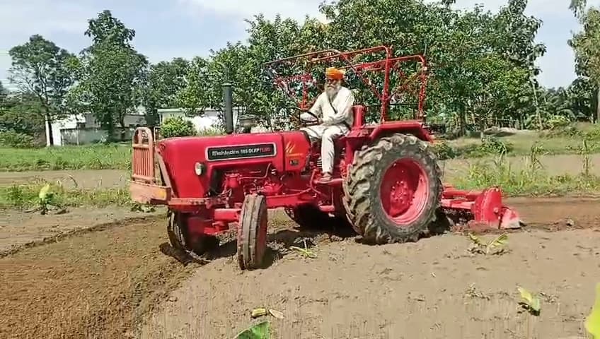 किसान ने  ट्रैक्टर से जोत डाली अपनी केले की फसल
